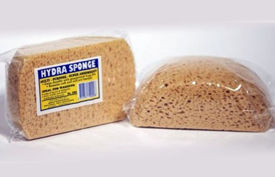 Hydra Sponge